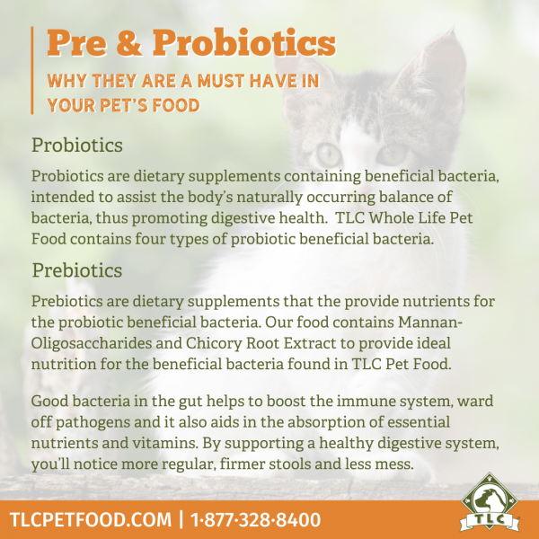 Cat- Pre & Probiotics